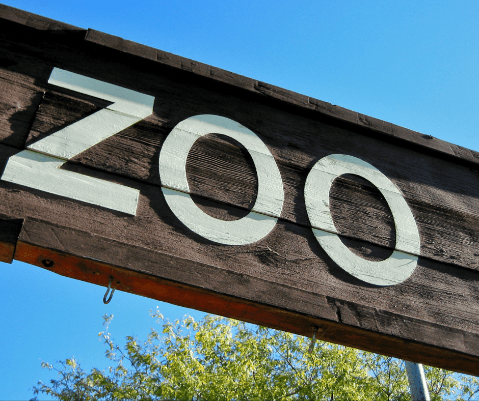 Boo at the Zoo in Utah