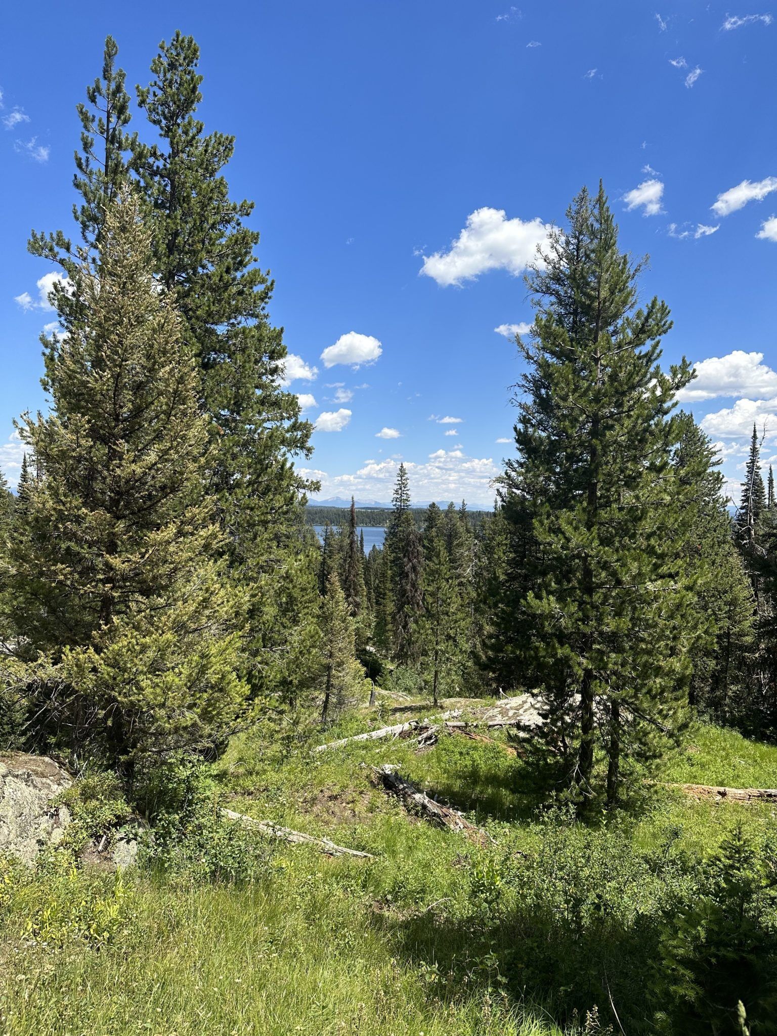Visit Jenny Lake Grand Tetons Visitor Center Jenny Lake Ferry And Best visit-jenny-lake-grand-tetons-visitor-center-jenny-lake-ferry-and-best